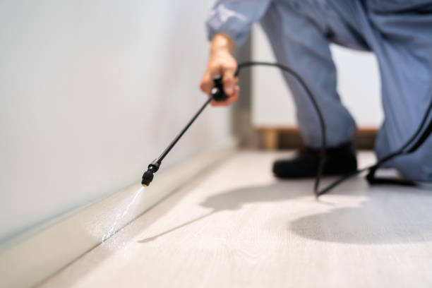 Professional exterminator conducting IPM assessment in Greene